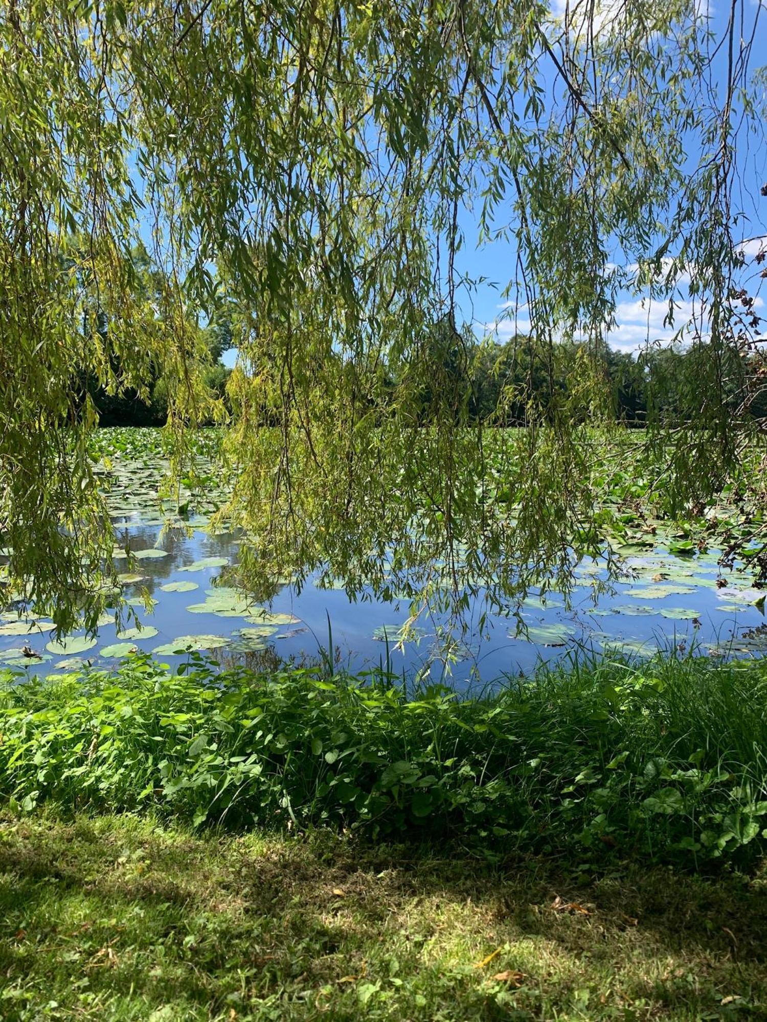Neufmesnil Abbaye De Blanchelande Bed & Breakfast エクステリア 写真