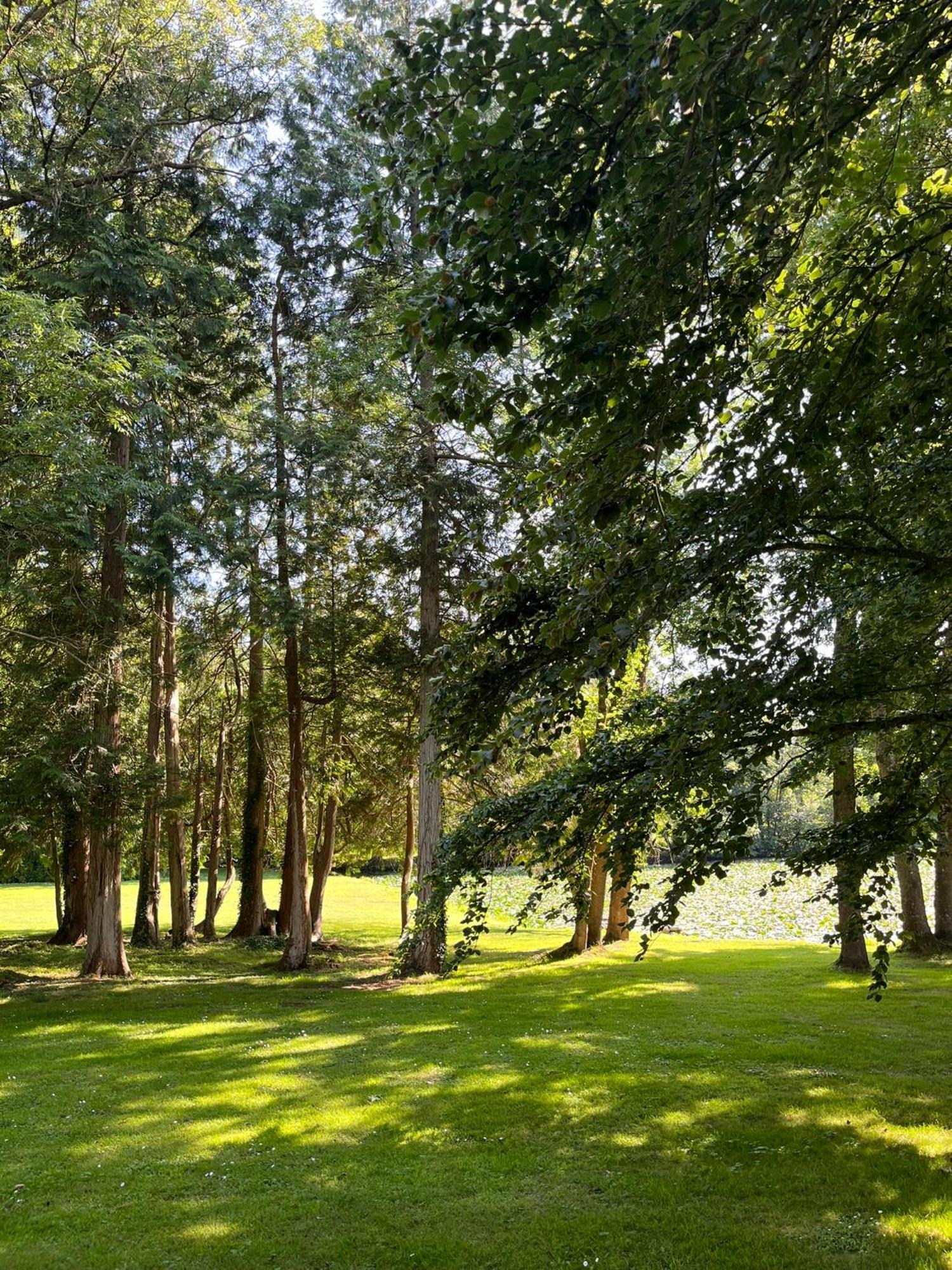 Neufmesnil Abbaye De Blanchelande Bed & Breakfast エクステリア 写真
